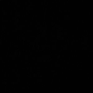 Meet your Posher, Henry